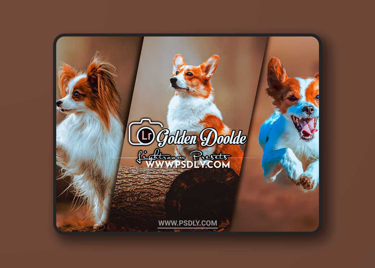 Golden Doolde Lightroom Presets Mobile and Desktop