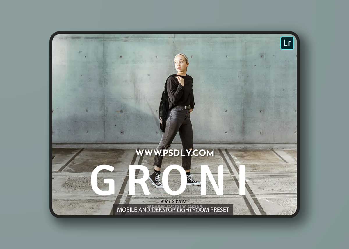 Groni Lightroom Presets Dekstop and Mobile