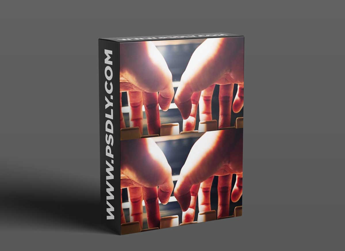 Groove3 Chords Beginner's Guide TUTORiAL