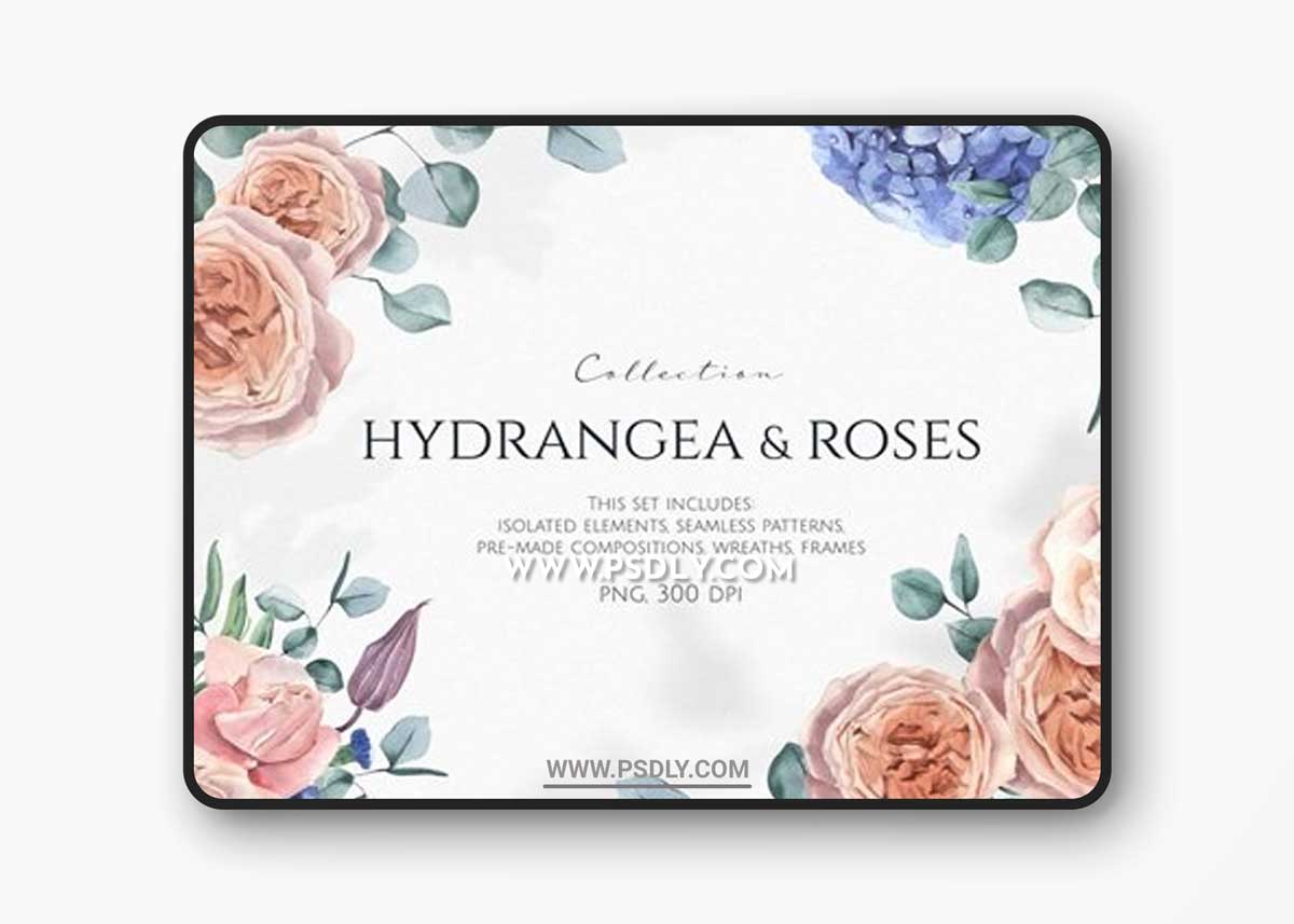 Hydrangea & Roses Watercolor Set