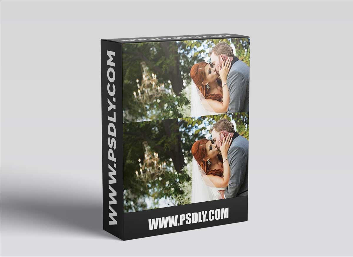 Jerry Ghionis. I.C.E. Society - Chapter 96