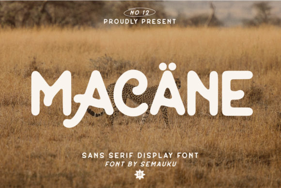 Macane Font