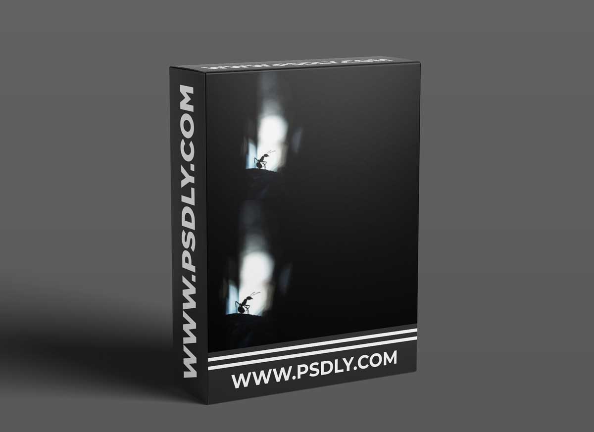 Mango-Ice Photography - Red forest ants in silhouette