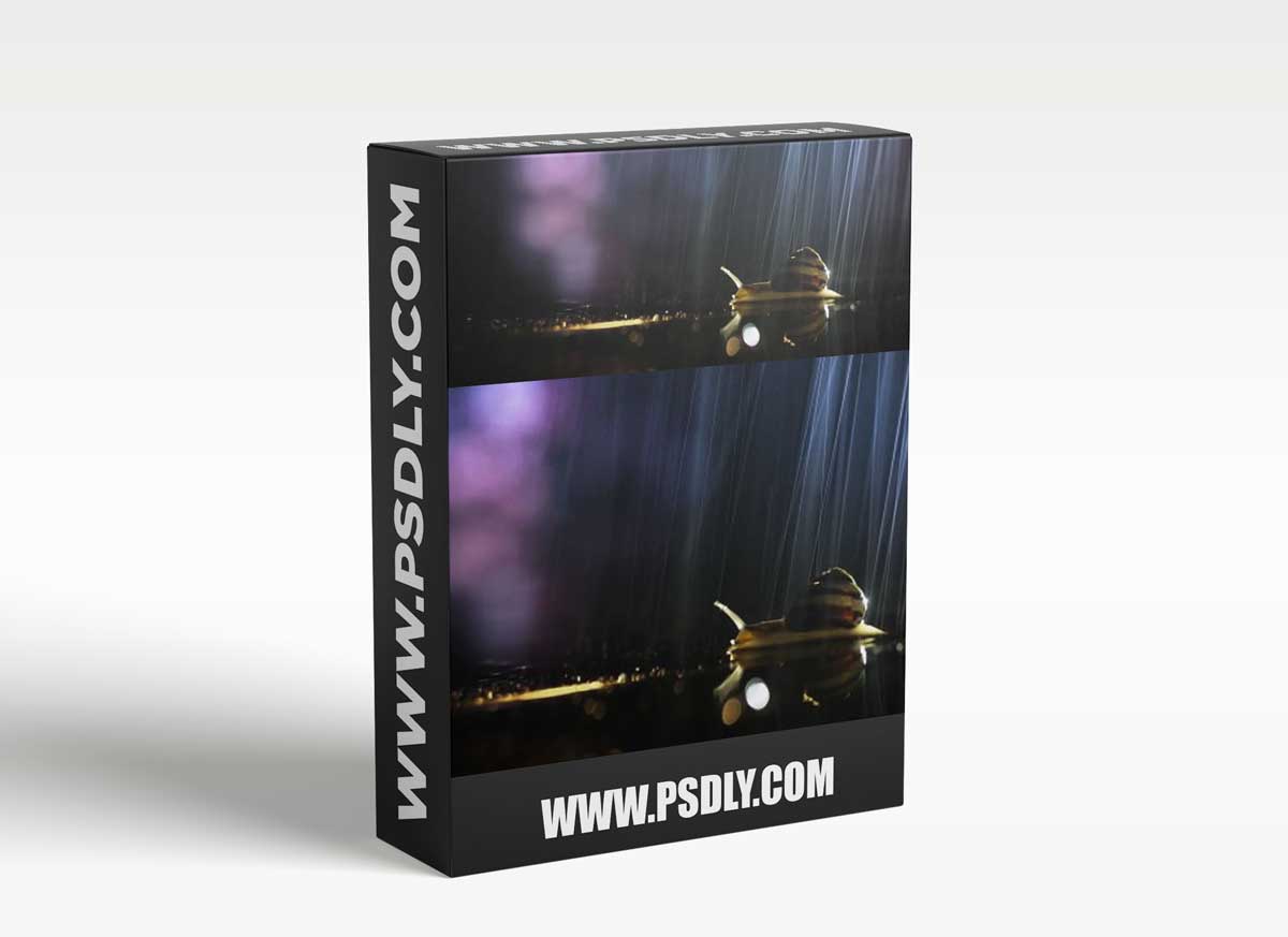 Mango-Ice Photography - Top 5 Tips for Macro Photography