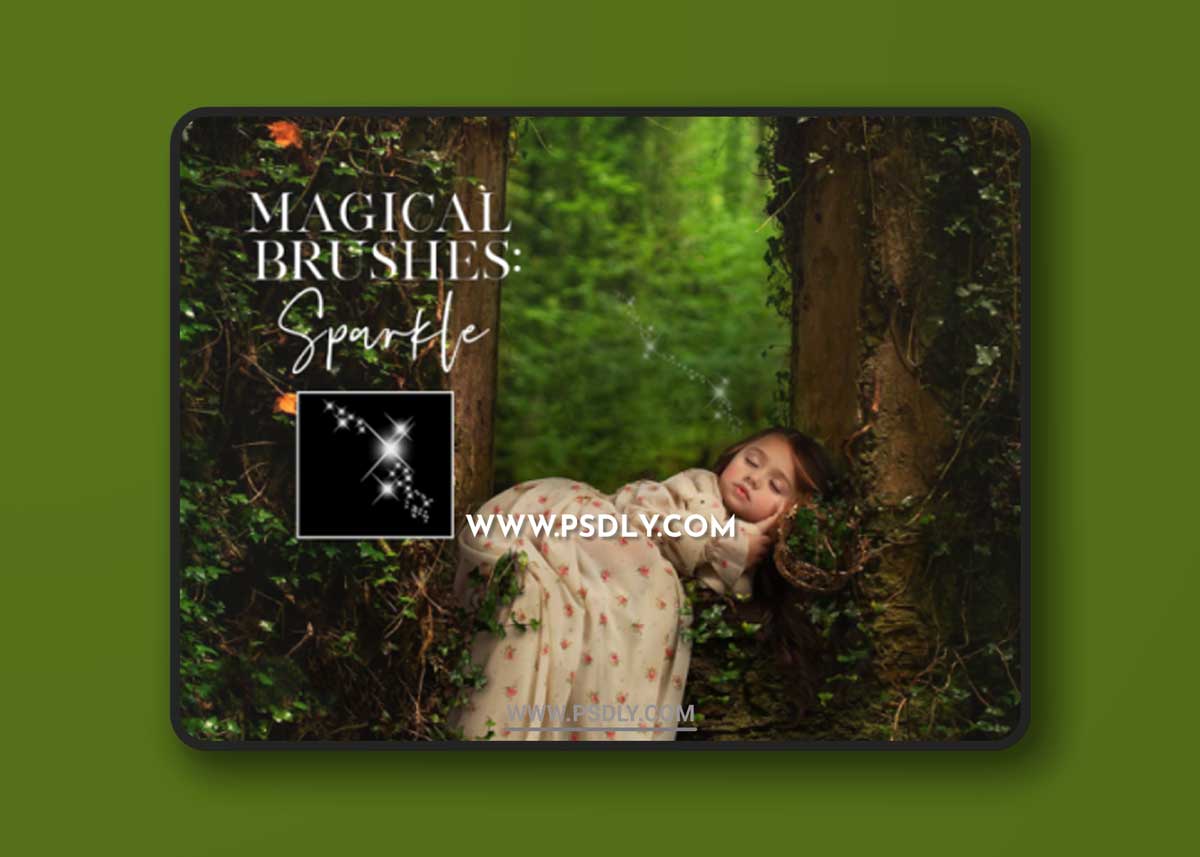 Meg Bitton - Sparkle Brushes