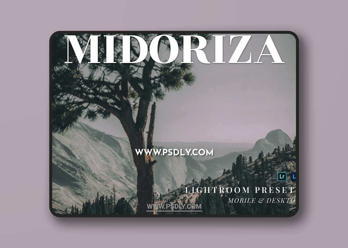 Midoriza Mobile and Desktop Lightroom Presets
