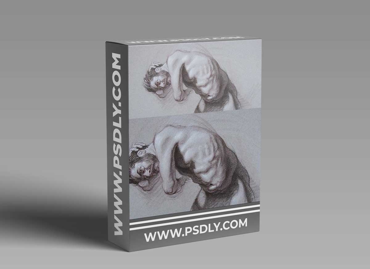 Shading / Learn to Draw the Figure in Dramatic Light & Shadow