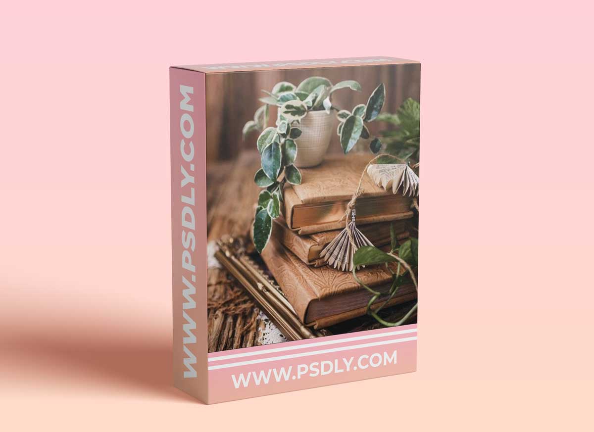 Twig & Olive Photography - Digital Hybrid Model