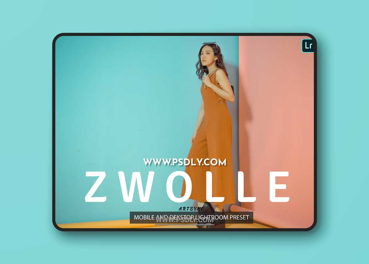 Zwolle Lightroom Presets Dekstop and Mobile