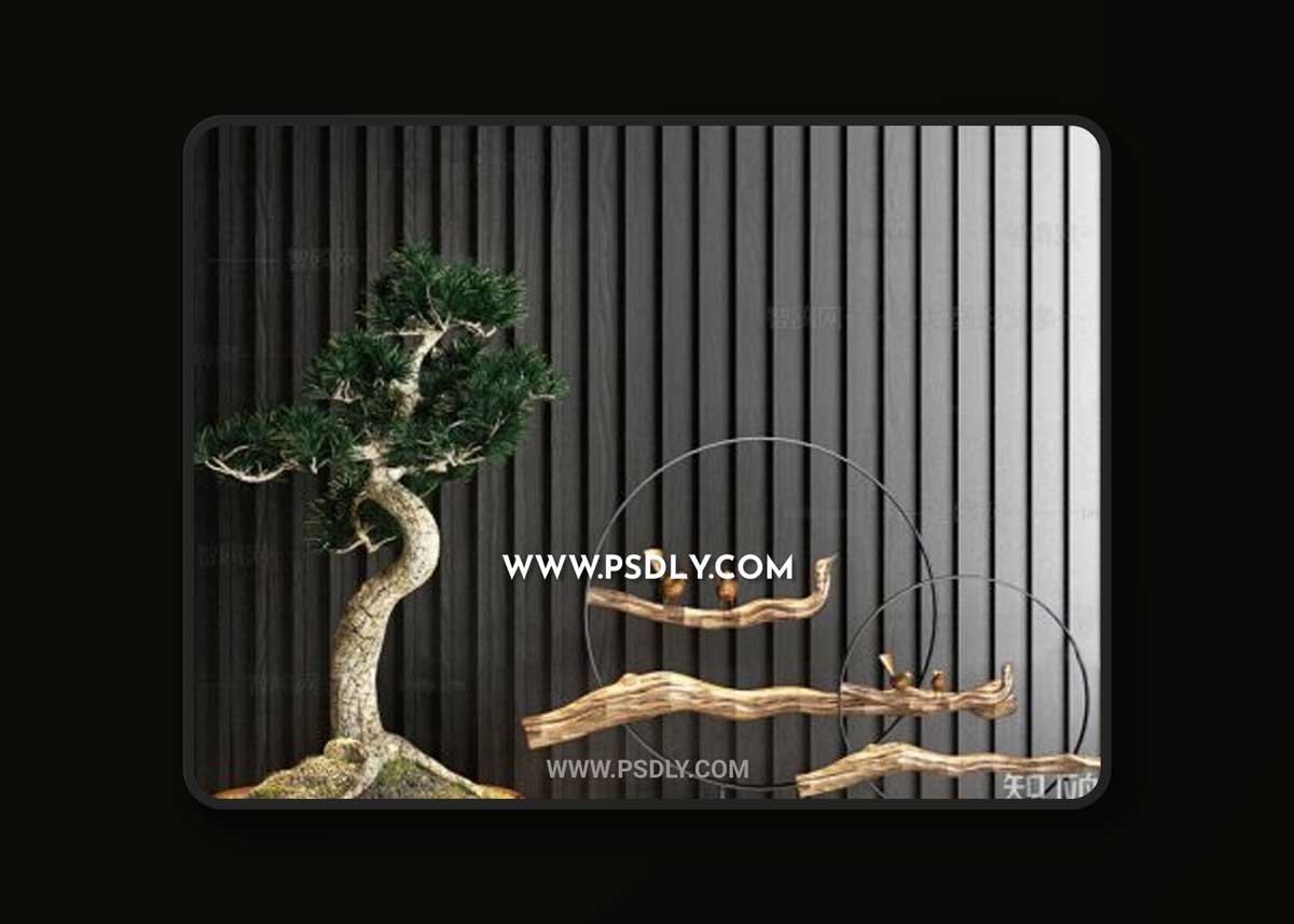 Bonsai 3D Models