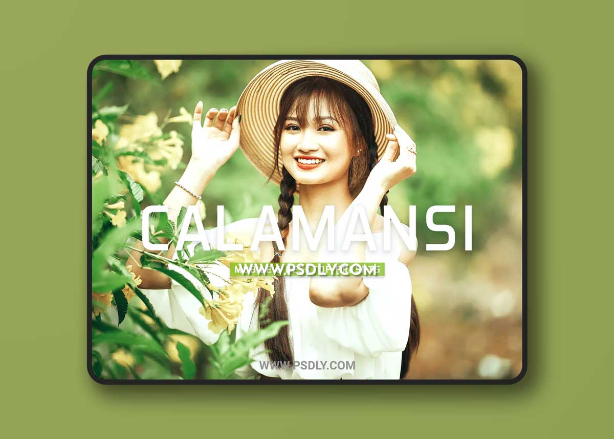 Calamansi Mobile & Desktop Lightroom Presets