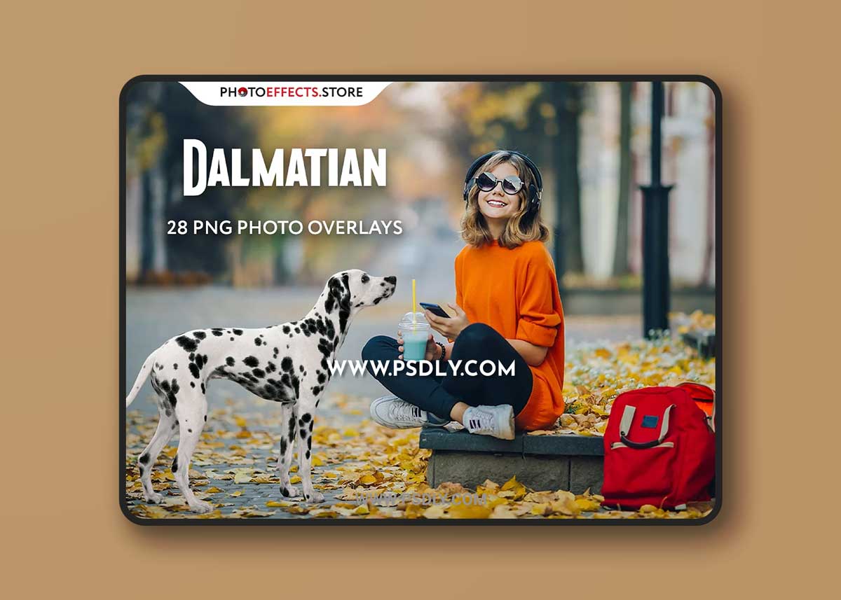CreativeMarket - 28 Dalmatian Photo Overlays 6652850