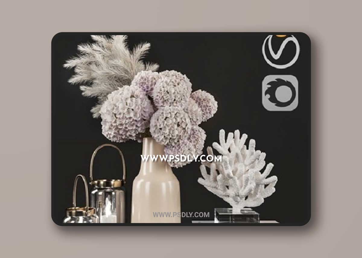 Dry Flower and Coral Decoration Set 07 3D Models