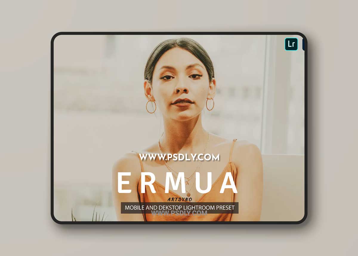 Ermua Lightroom Presets Dekstop and Mobile