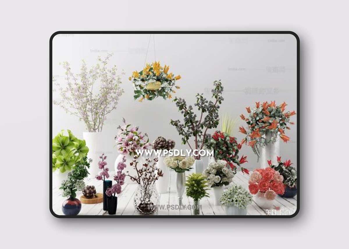 Floral indoor potted plants 3D Models