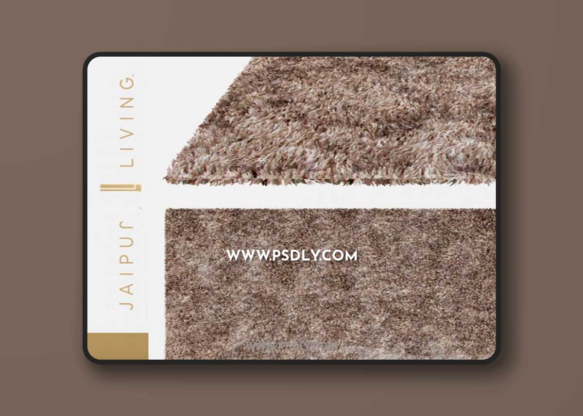 Jaipur Nadia Rug From Nadia Collection 3D Models