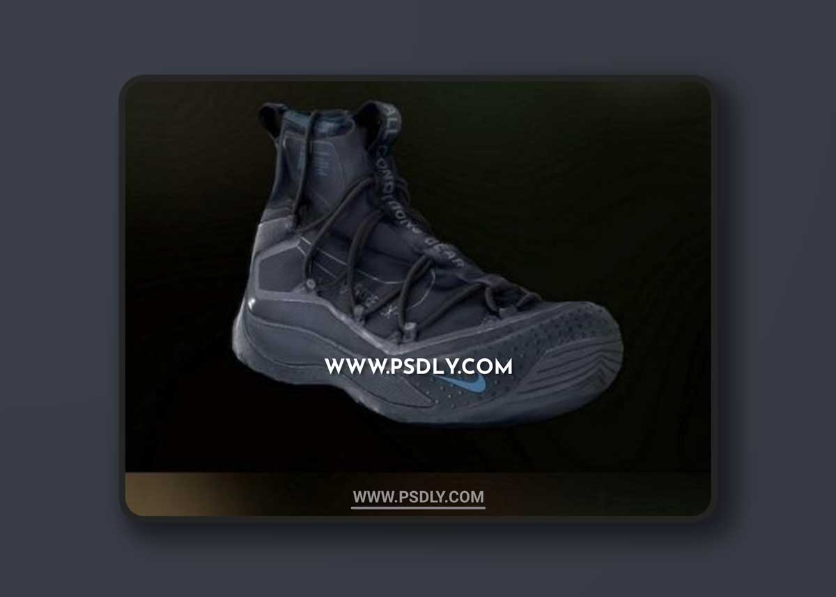 NIKE ACG AIR 3D Model