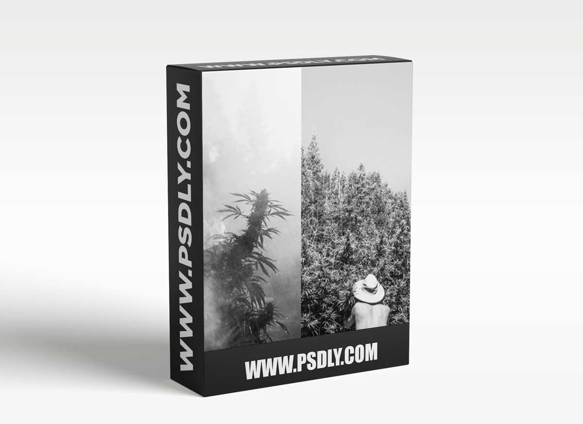 Narrative Photography: Storytelling through a Photographic Lens