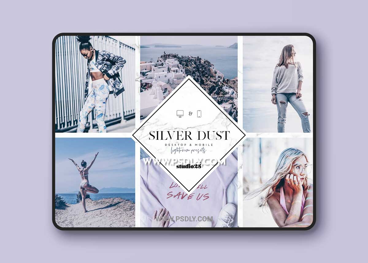 CreativeMarket - 2 Silver lightroom presets 4007319