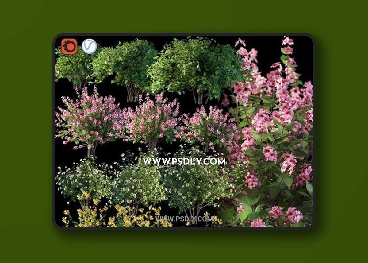 Set flowering shrubs 4 3D Models