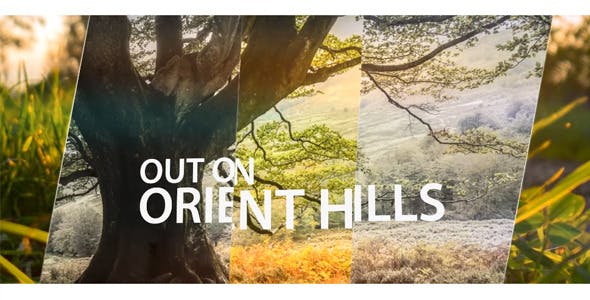 Videohive Simple Slideshow 2 11772889