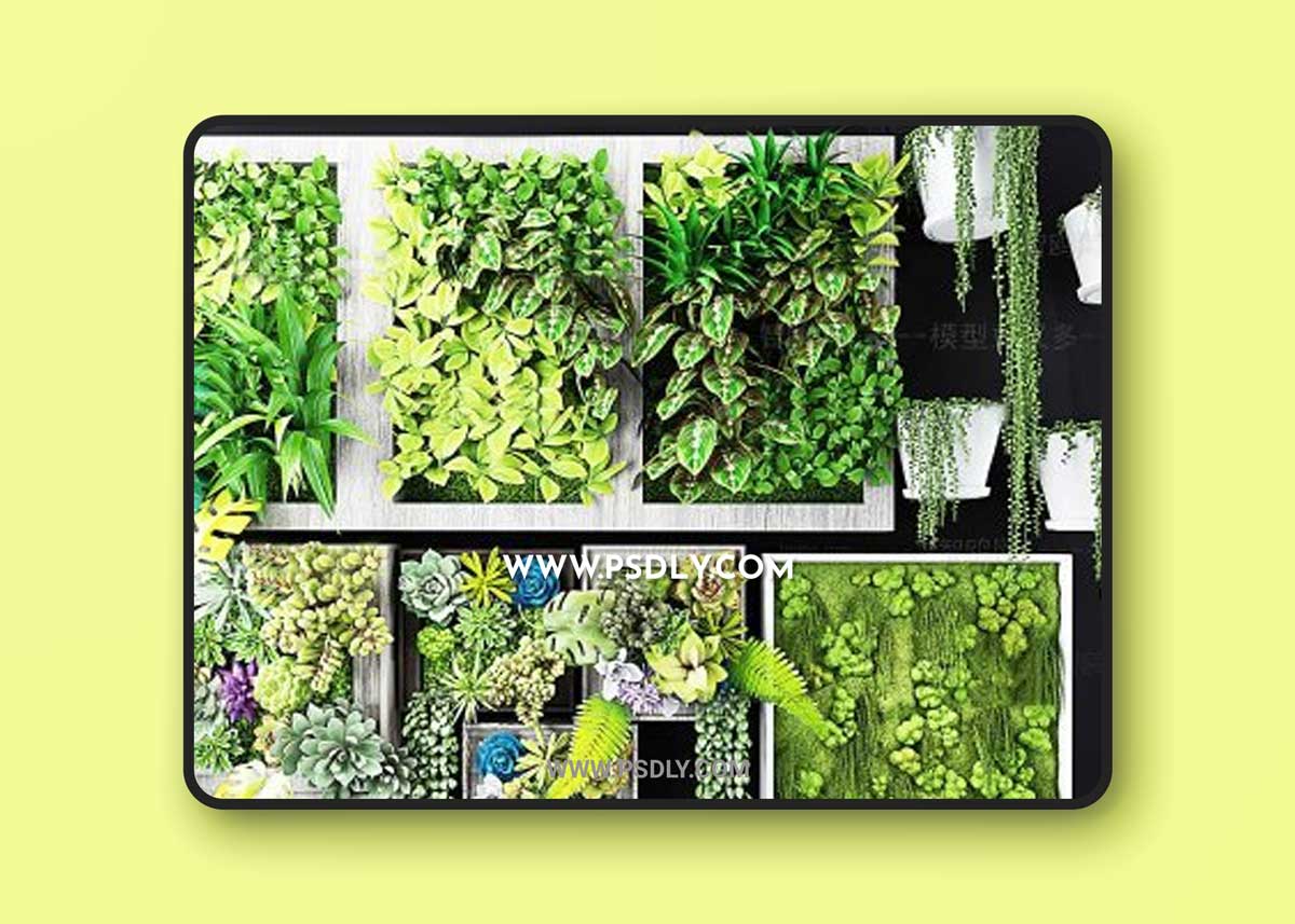 Succulent Plant Wall 3D Model