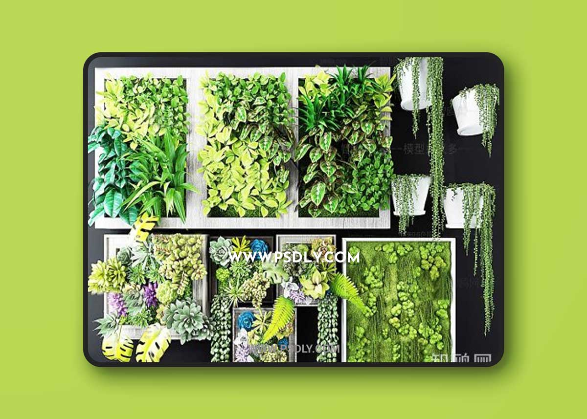 Succulent Plant Wall 3D Models