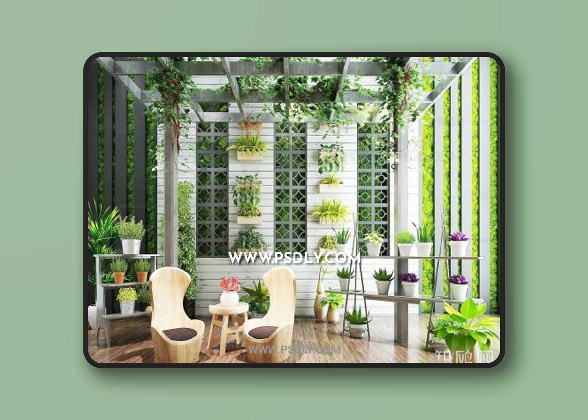 Sun room balcony courtyard/landscape green plants potted