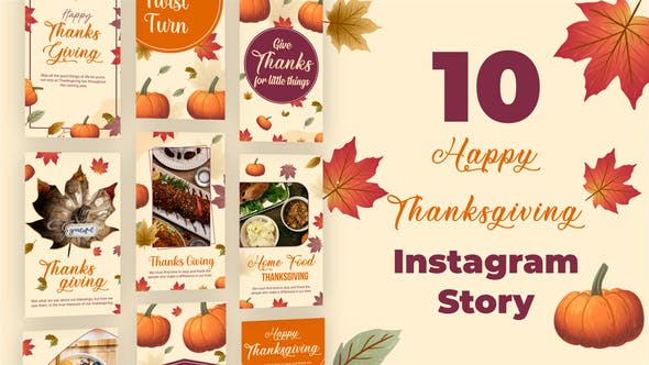 Videohive Thanksgiving Greeting Instagram Stories 34816027