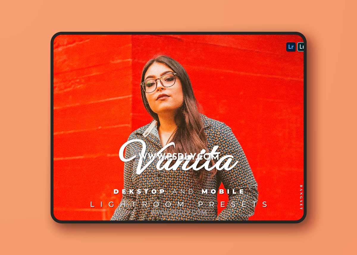 Vanita Desktop and Mobile Lightroom Preset