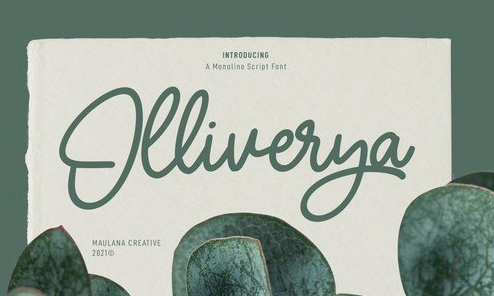 Olliverya Monoline Script Font