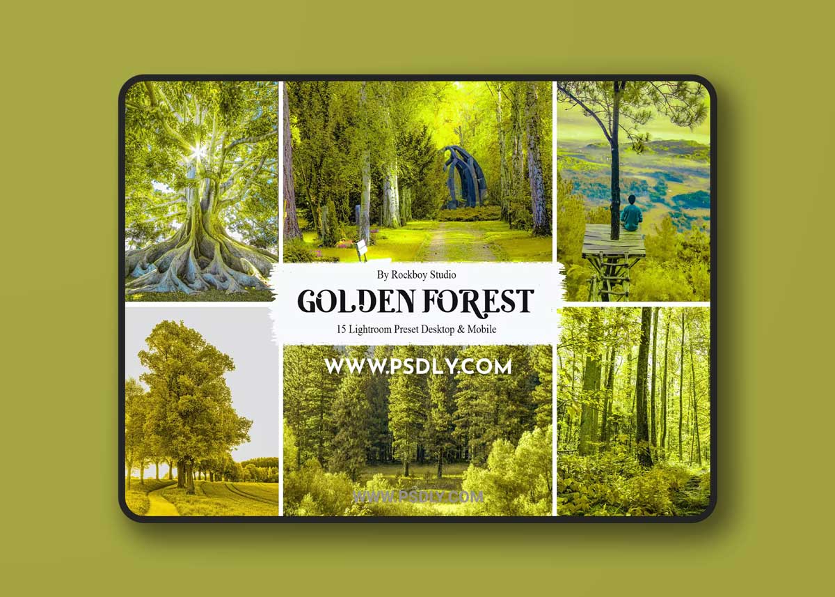 15 Golden Forest Lightroom Presets