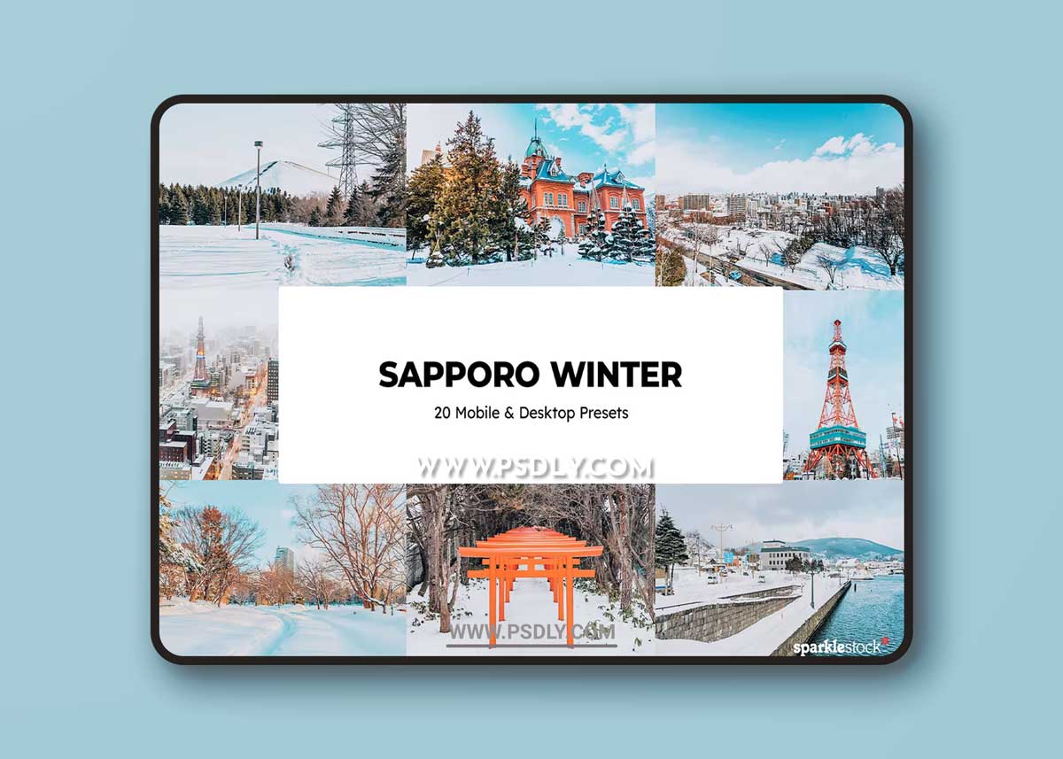 20 Sapporo Winter Lightroom Presets and LUTs Q4D3TAJ