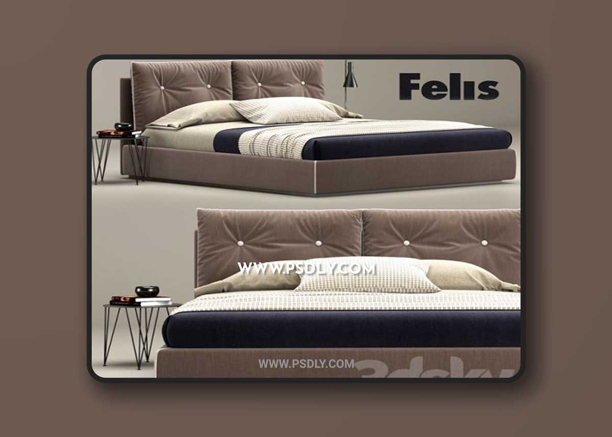 Bed Scotty, Felis 3D Models