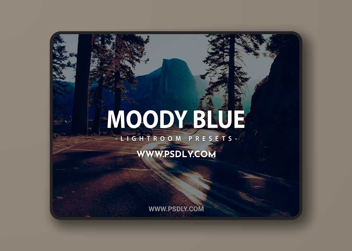 Blue Moody Lightroom Presets