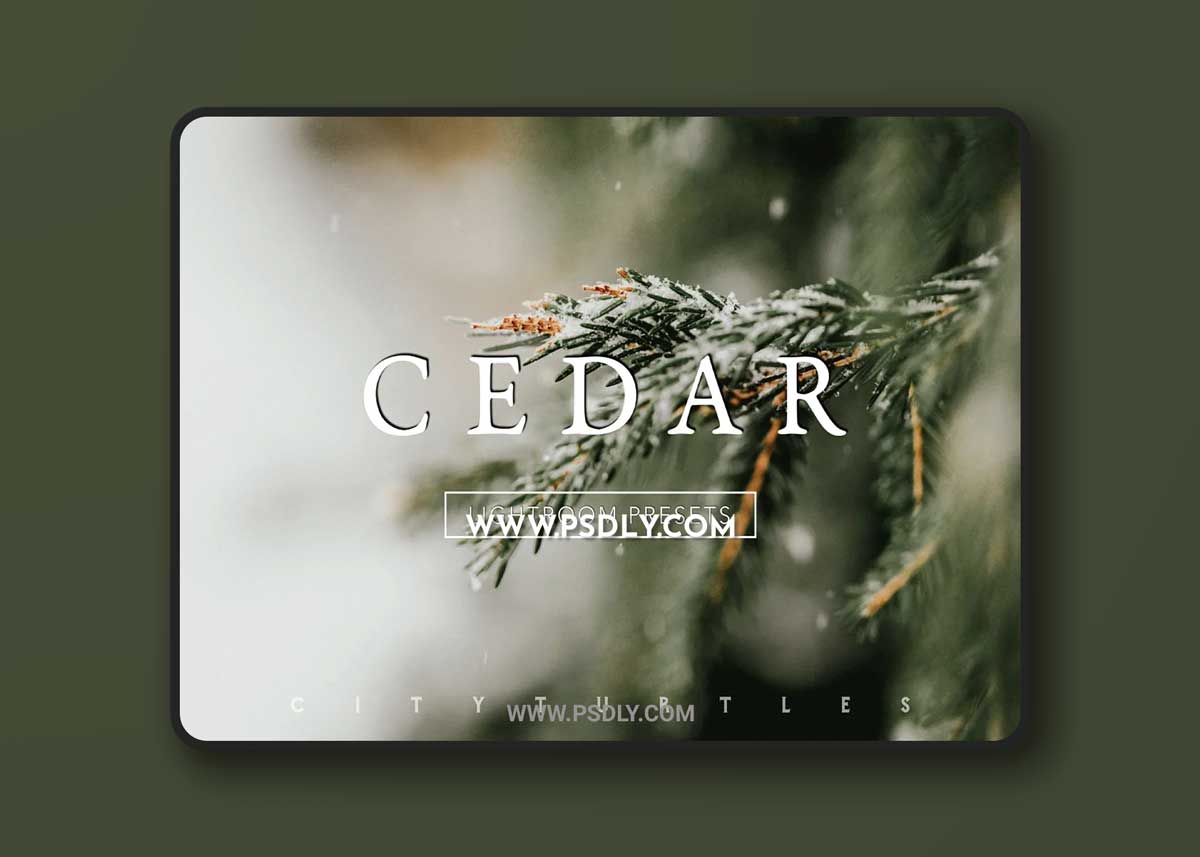 CEDAR Subtle Moody Lightroom Presets