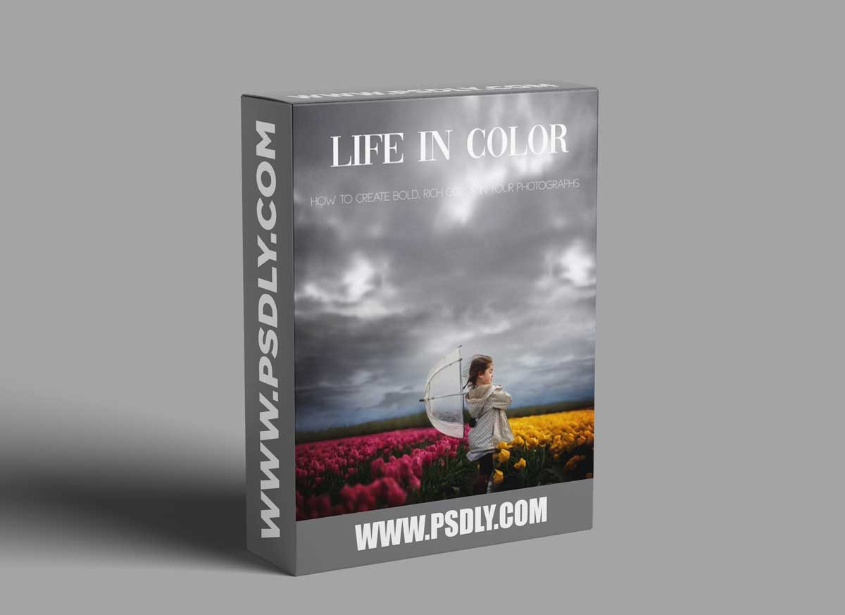 Clickinmoms - Life in Color: Creating bold, rich color in your photographs