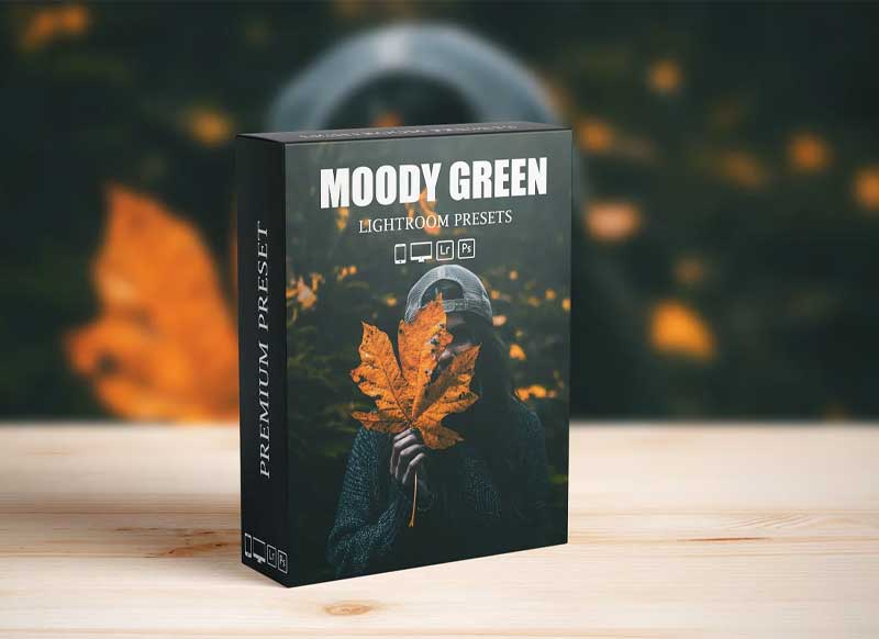 CreativeMarket - Moody Dark Green Lightroom Presets 6285007