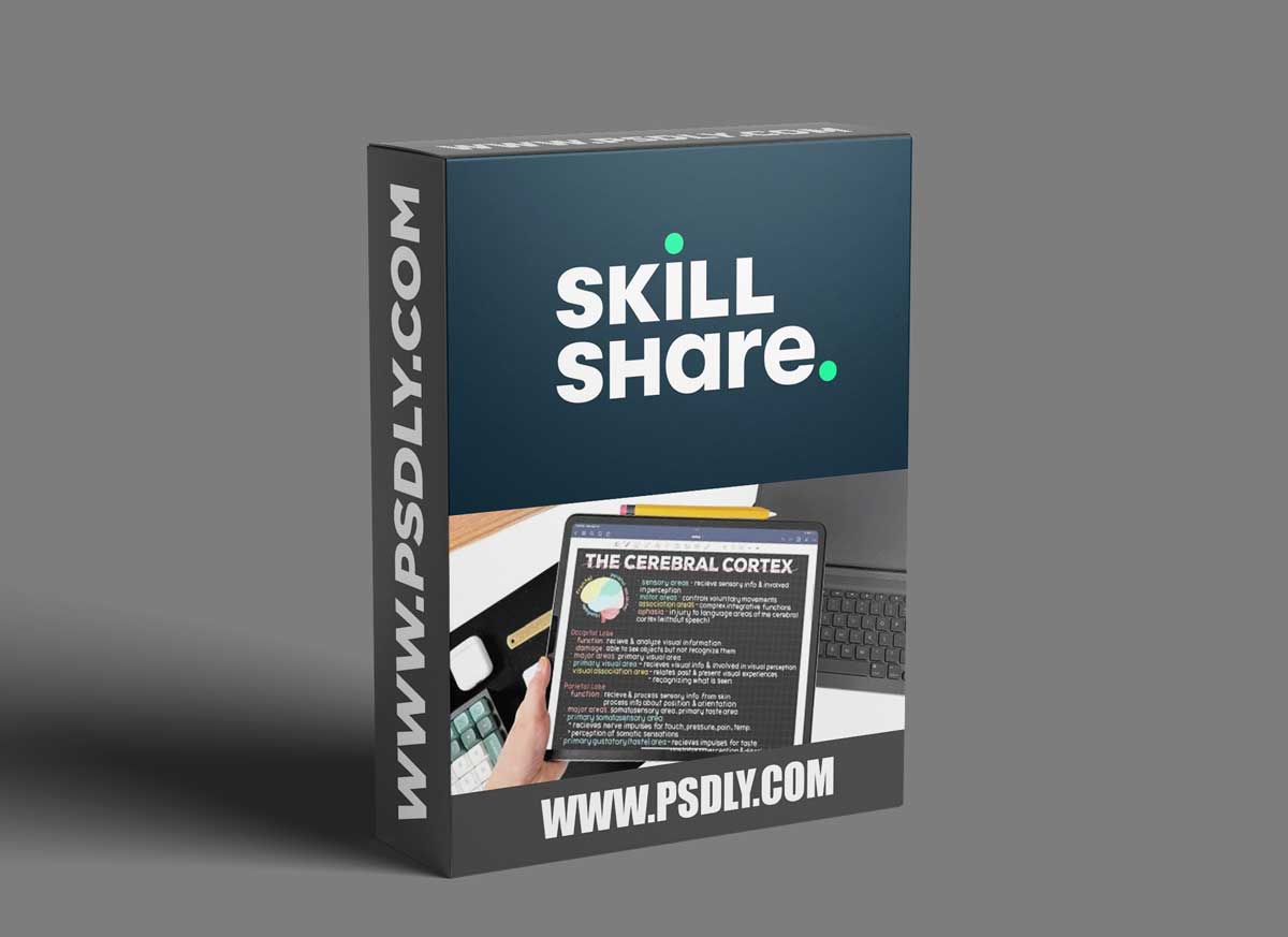 Digital iPad Note-Taking: Guide To Effective & Organized Notes