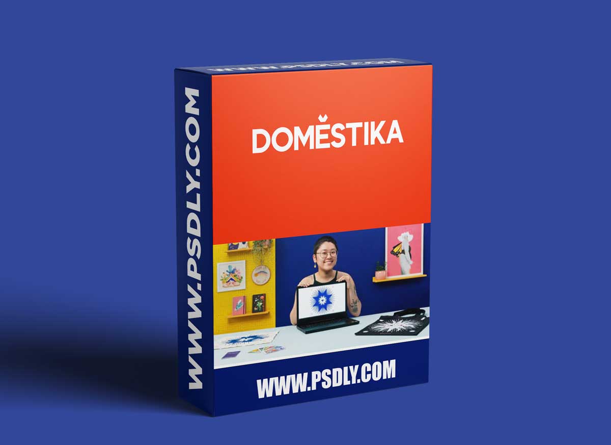 Domestika - From Illustration to E-commerce: Turn Your Art into a Business