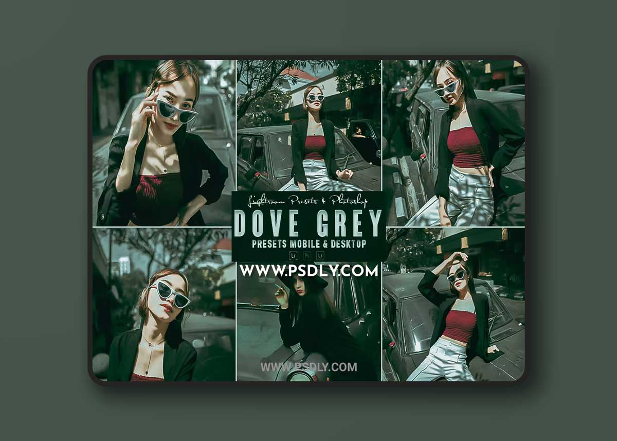 Dove Grey Photoshop Action & Lightrom Presets