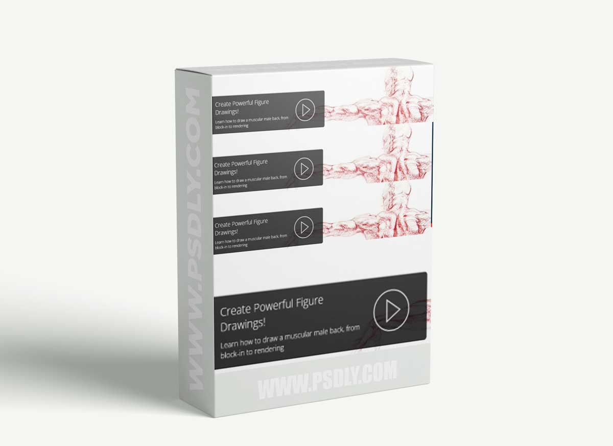 Drawing the Male Back in Sanguine With Glenn Vilppu