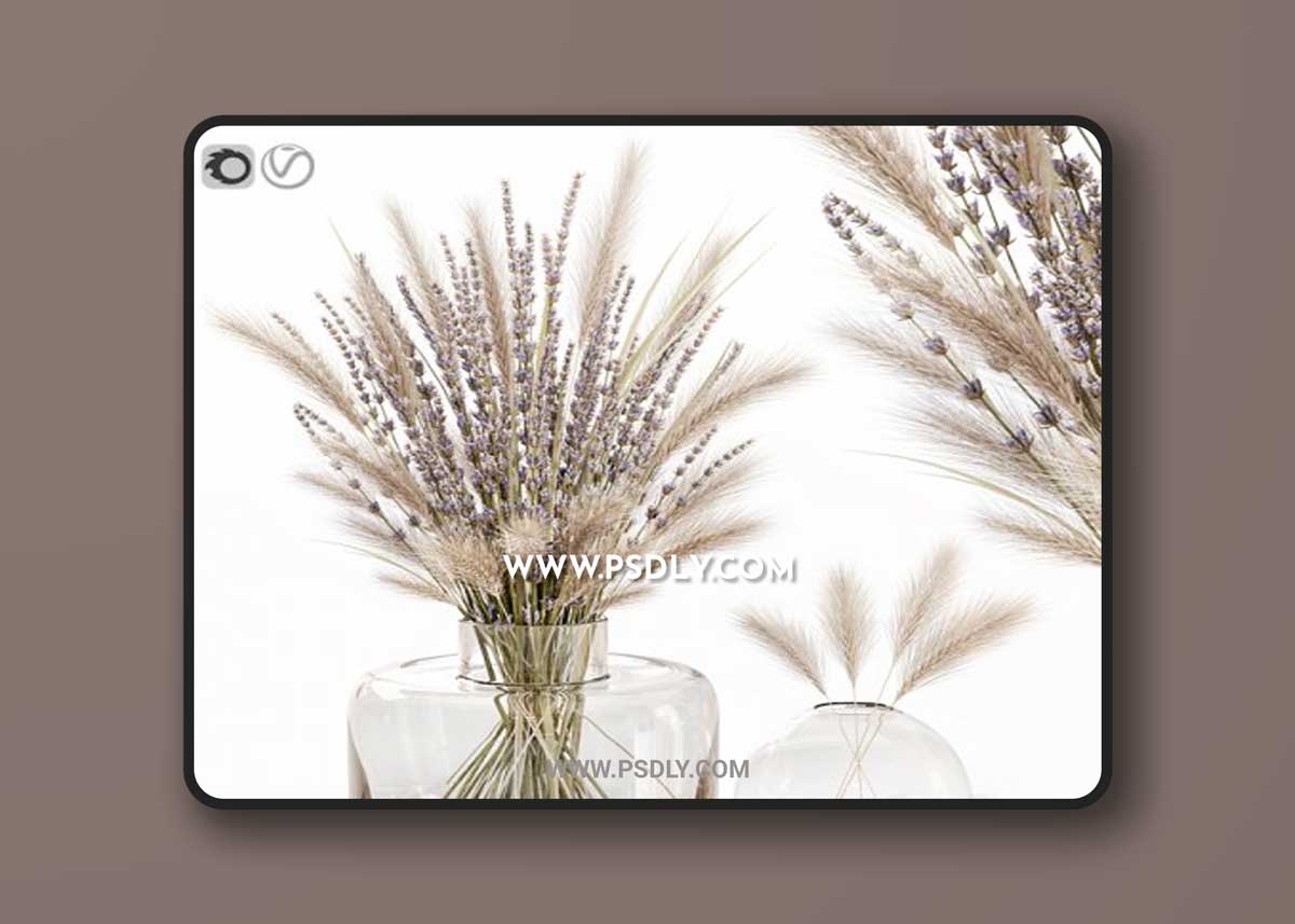Dry flowers in glass vase with lavender 3D Models