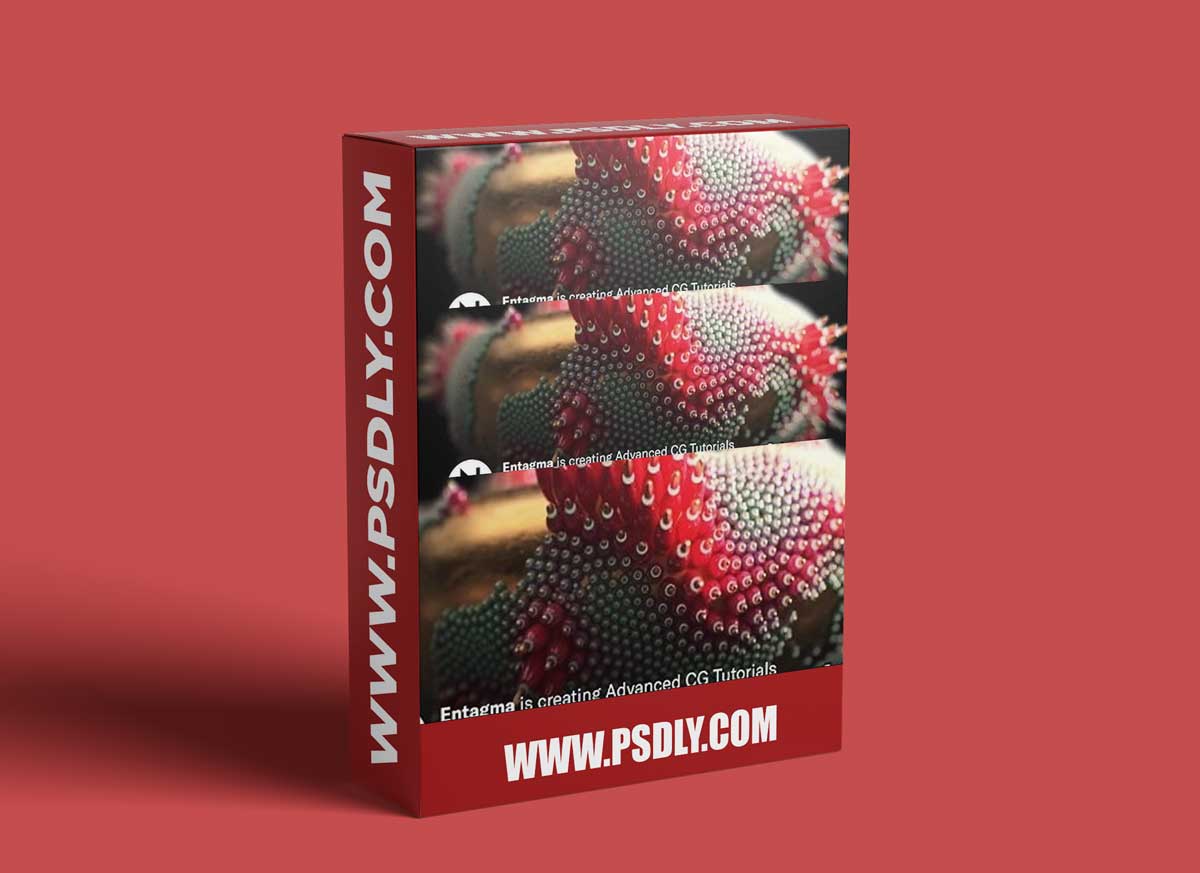 Entagma - Patreon Advanced CG Tutorials (December 2024)