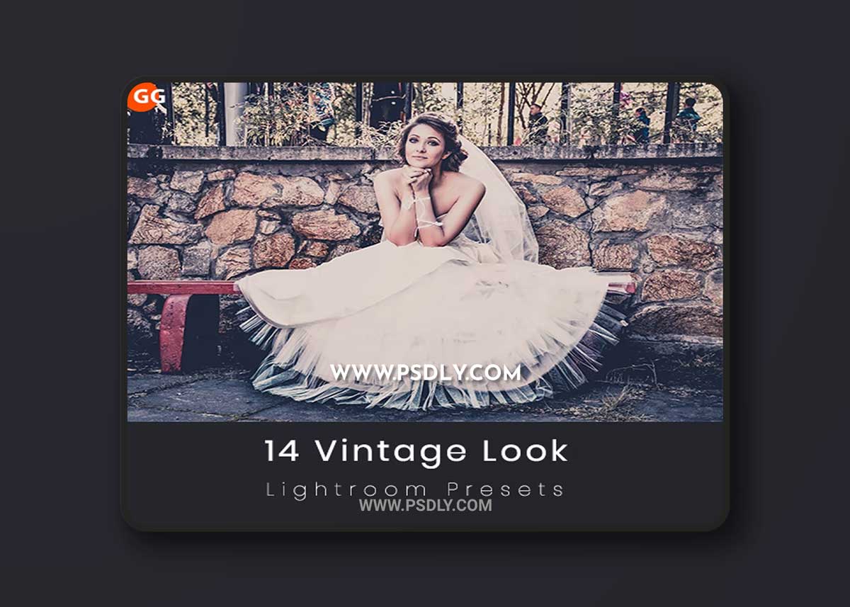 GraphicRiver - 14 Vintage Look Lightroom Preset 21576820