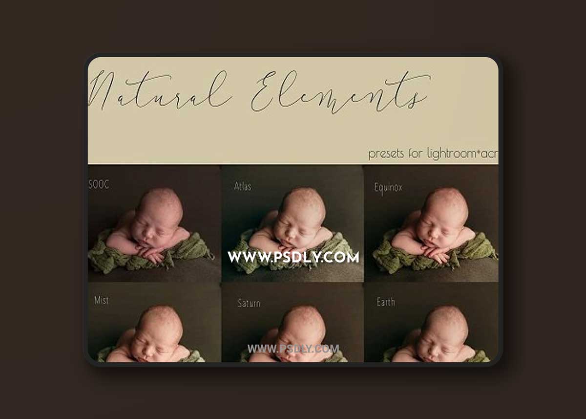 Lindsey Williams - Natural Elements Preset Collection
