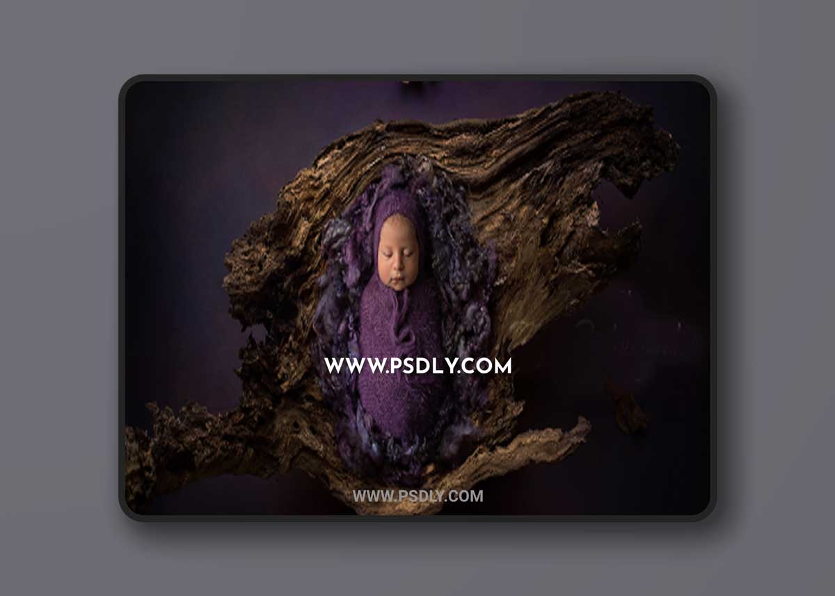 Meg Bitton - Wooden Log Bowl Digital Background