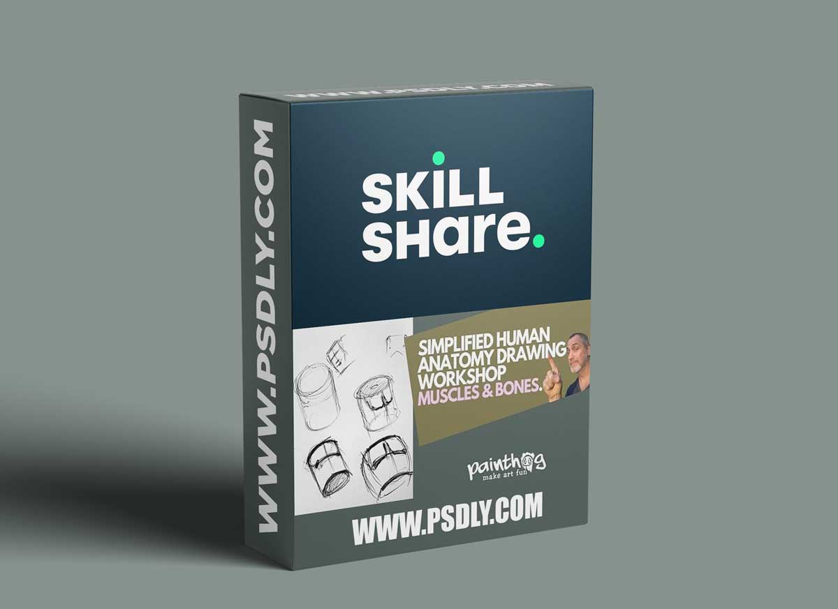 Simplified Human Anatomy Drawing Workshop