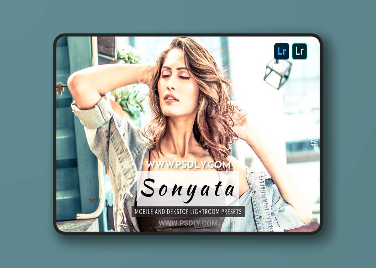 Sonyata Lightroom Presets Dekstop and Mobile