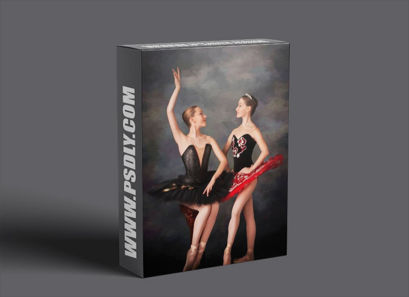 The Art of Selling Portraits Bradford Rowley